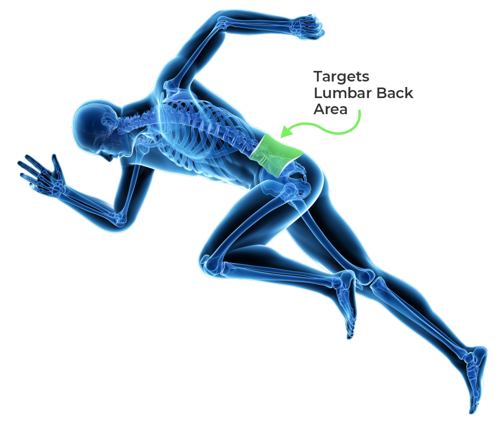 Xray of Sprinter Highlighting the Lower Back Area