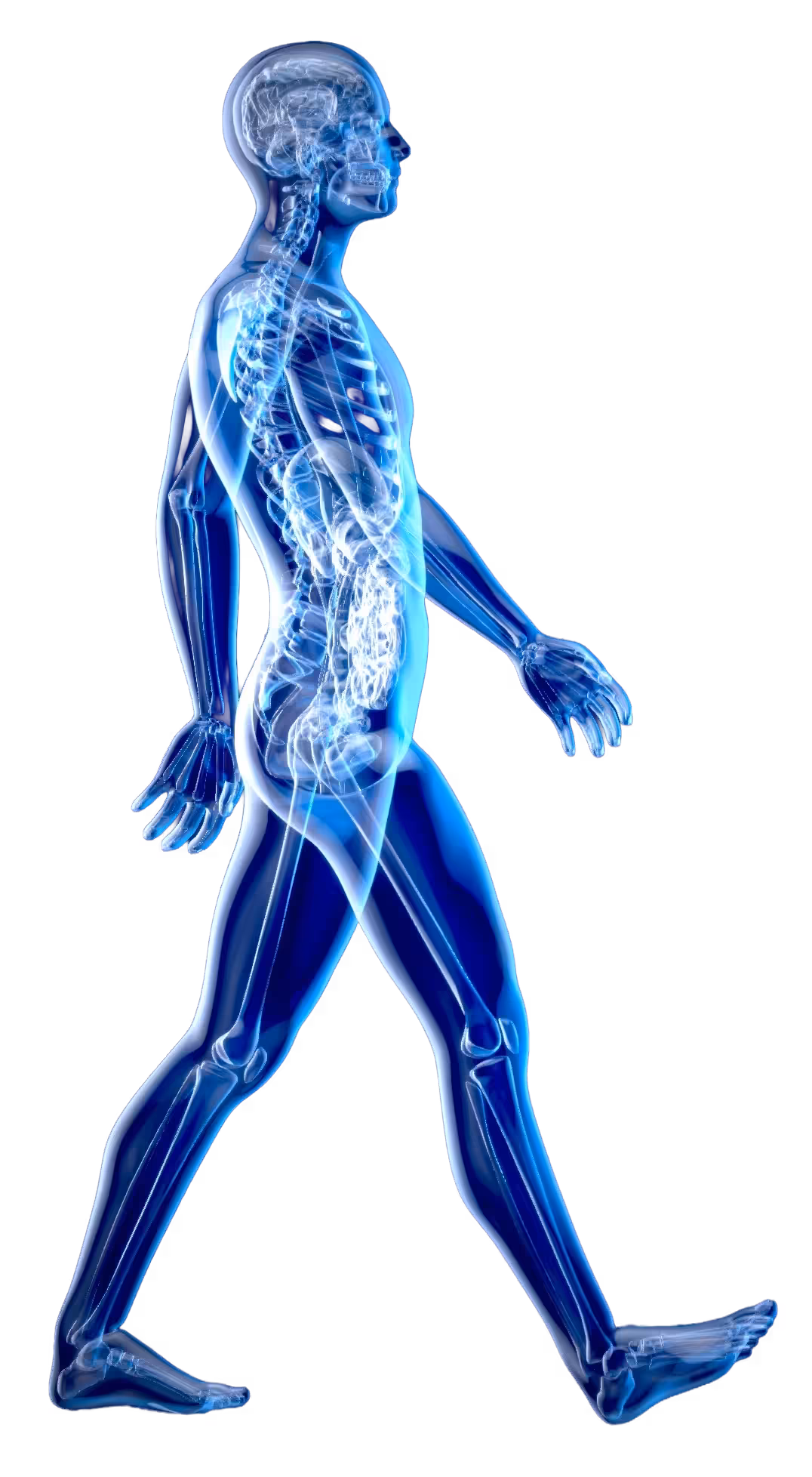 Blue Xray Man Walking
