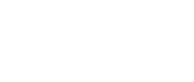 Vizient Logo